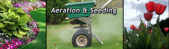 Aeration / Seeding Washington Township, NJ - image