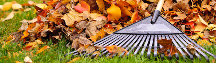 Lawn Cleanup Bergen County - Banner